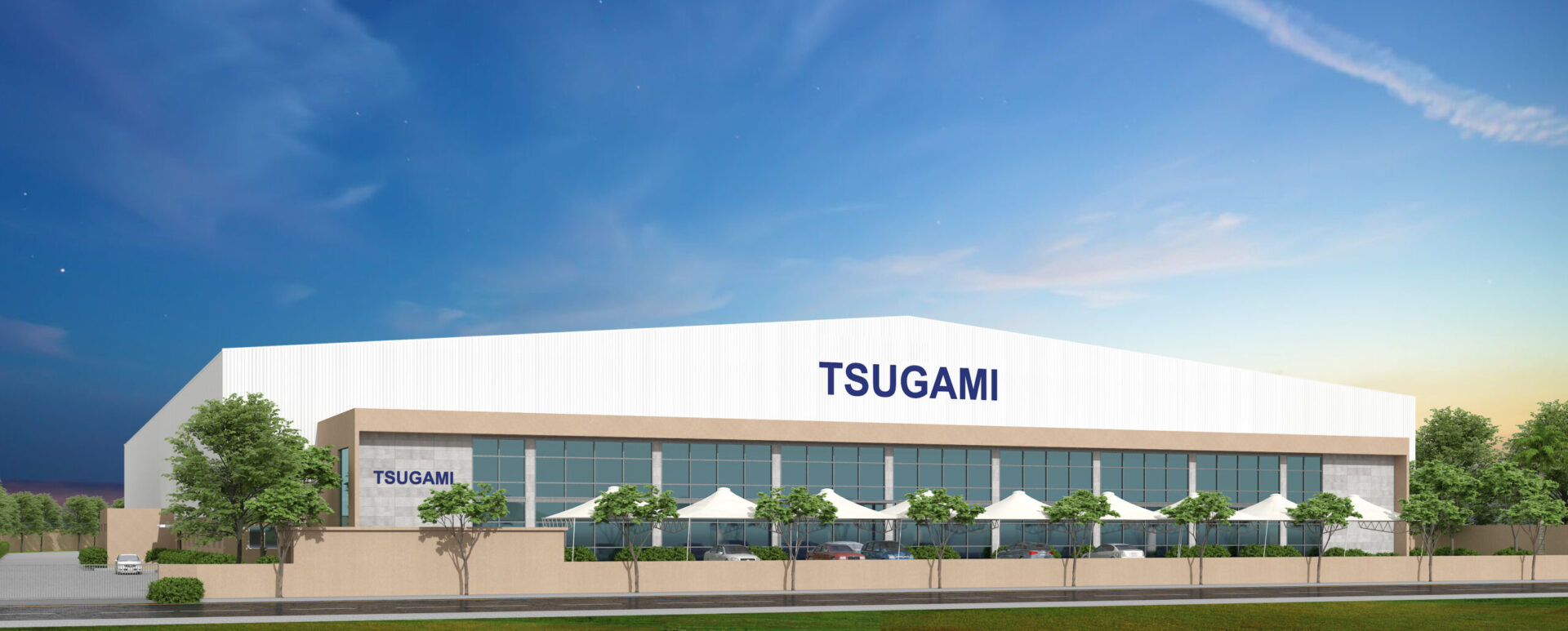 TSUGAMI